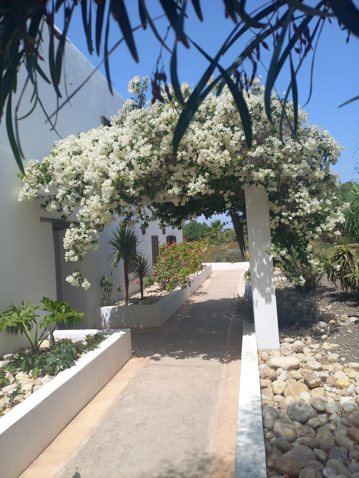 Отель Les Jardins De Silona, Piscine Chauffee Эс-Сувейра Экстерьер фото