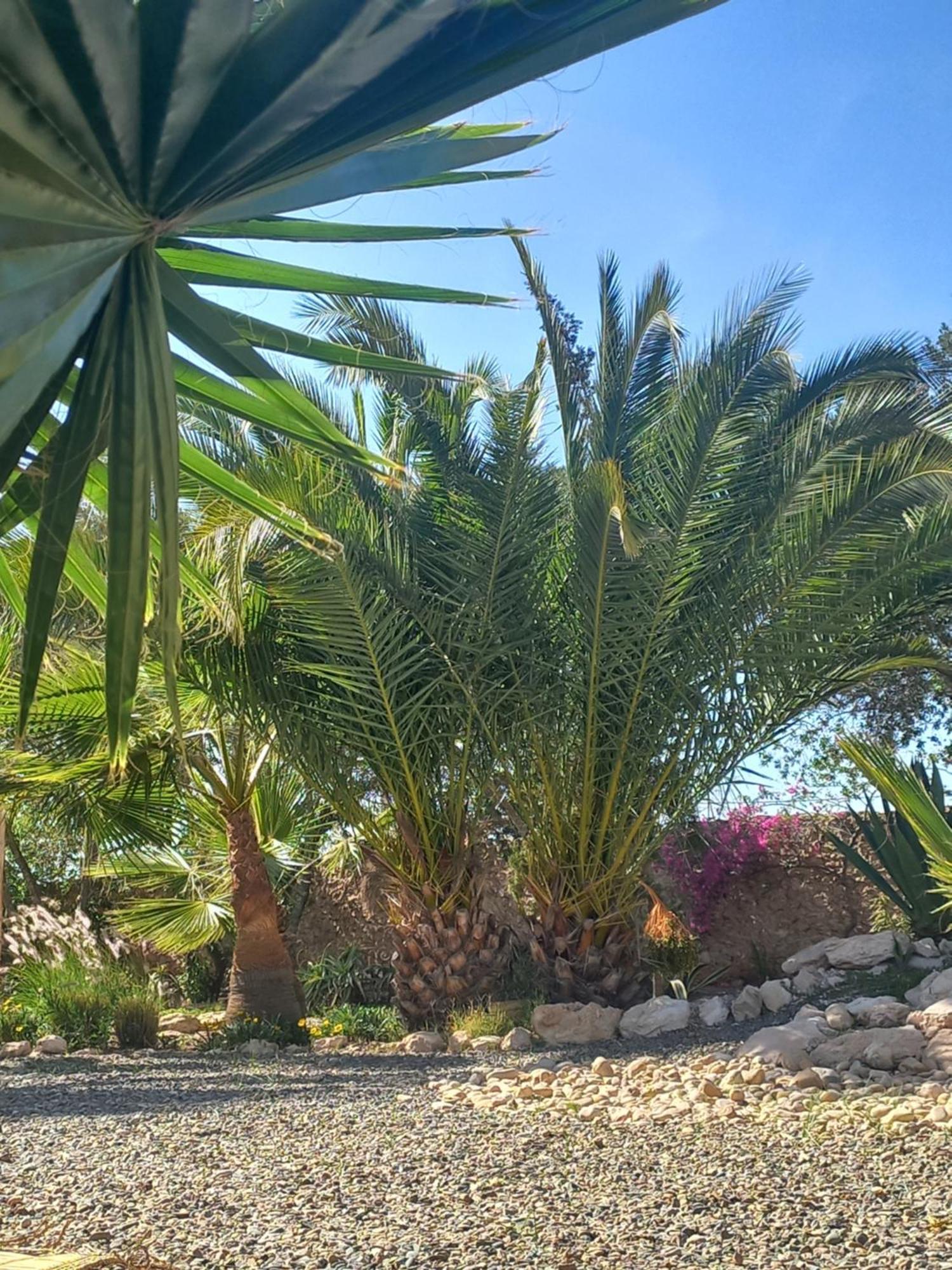 Отель Les Jardins De Silona, Piscine Chauffee Эс-Сувейра Экстерьер фото